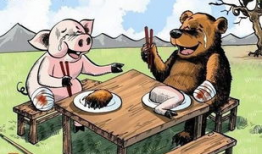 熊漫画家,趣味横生的动物世界